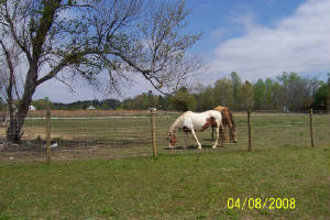 farmoutsidepic2.jpg